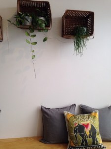 Testing out a new yoga studio this week - Grass Roots Yoga, Richmond. It'd be lovely except...